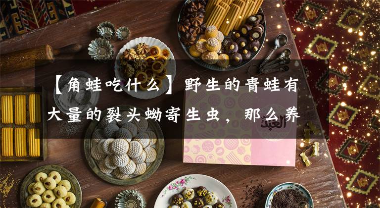 【角蛙吃什么】野生的青蛙有大量的裂头蚴寄生虫，那么养殖就要牢记这些预防重点