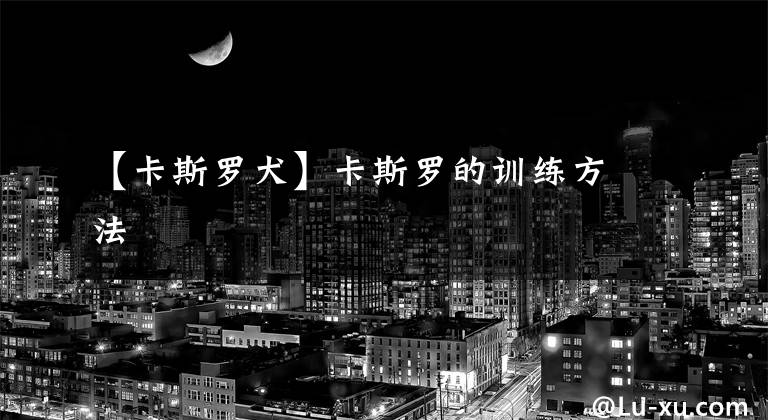 【卡斯罗犬】卡斯罗的训练方法