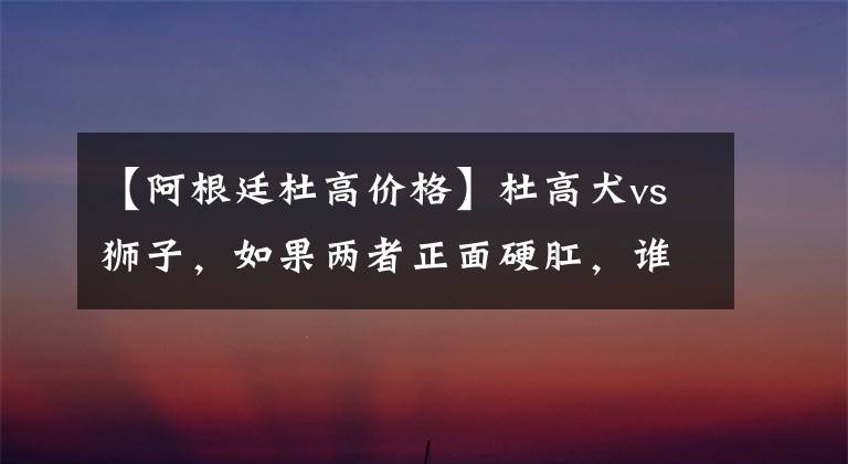 【阿根廷杜高价格】杜高犬vs狮子，如果两者正面硬肛，谁会活到最后？