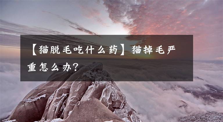 【猫脱毛吃什么药】猫掉毛严重怎么办？