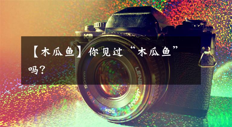 【木瓜鱼】你见过“木瓜鱼”吗？