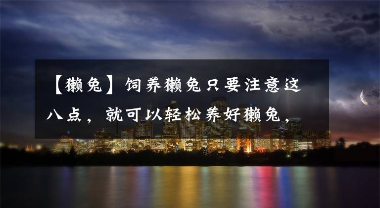 【獭兔】饲养獭兔只要注意这八点,就可以轻松养好獭兔,增加经济效益