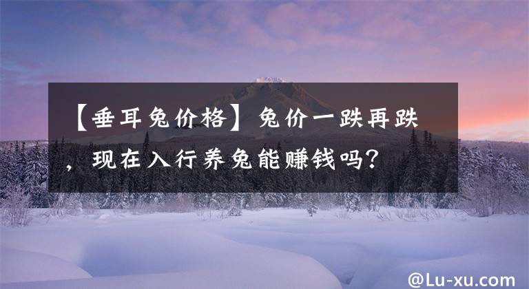【垂耳兔价格】兔价一跌再跌，现在入行养兔能赚钱吗？