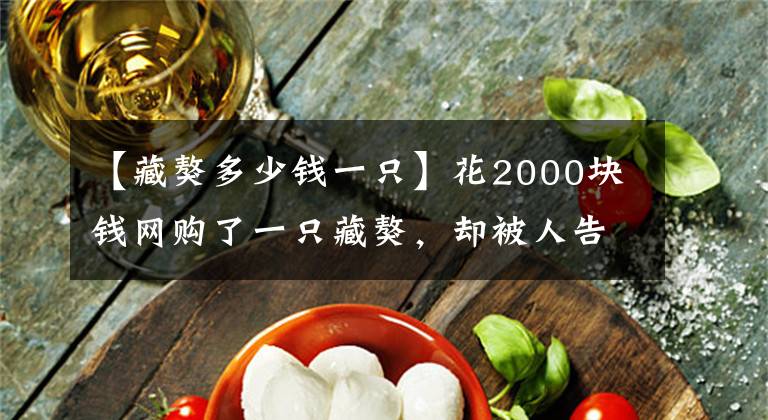 【藏獒多少钱一只】花2000块钱网购了一只藏獒，却被人告知是串串，亏大了