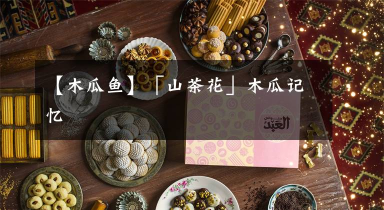 【木瓜鱼】「山茶花」木瓜记忆