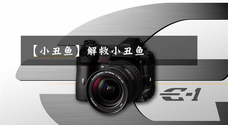 【小丑鱼】解救小丑鱼