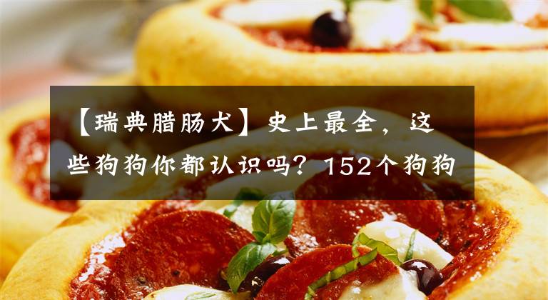 【瑞典腊肠犬】史上最全，这些狗狗你都认识吗？152个狗狗品种及介绍