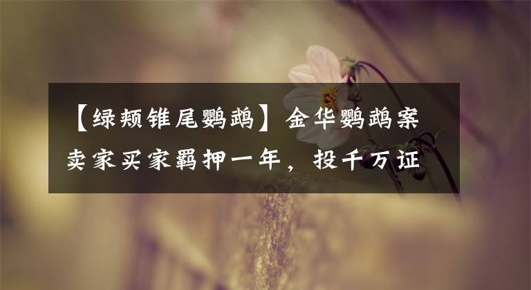 【绿颊锥尾鹦鹉】金华鹦鹉案卖家买家羁押一年,投千万证照齐全养殖场1566只鸟死亡损失500万,律师称不顾鸟死活有悖保护初衷