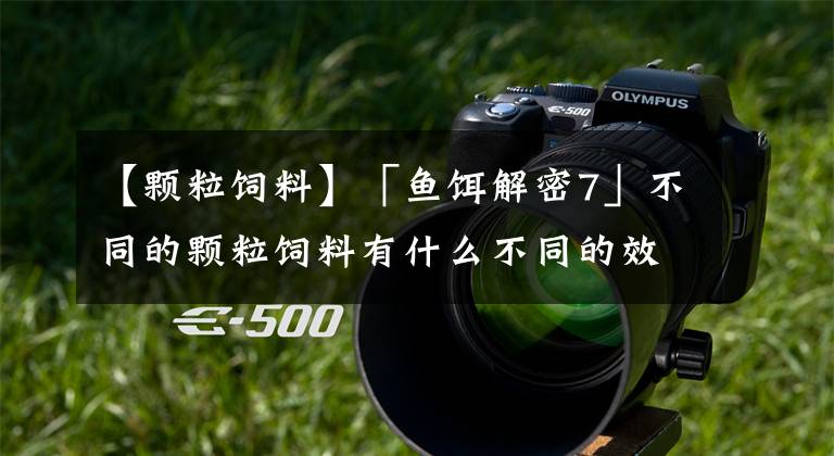 【颗粒饲料】「鱼饵解密7」不同的颗粒饲料有什么不同的效果?