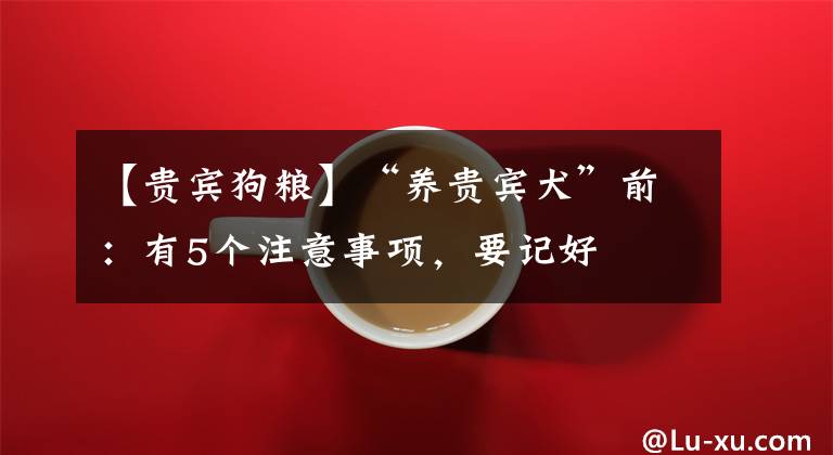 【贵宾狗粮】“养贵宾犬”前：有5个注意事项，要记好