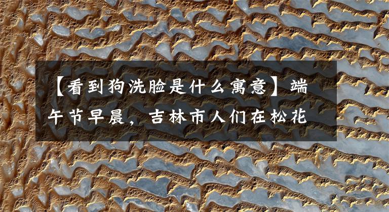 【看到狗洗脸是什么寓意】端午节早晨,吉林市人们在松花江边为猫狗洗脸,享受人们的待遇