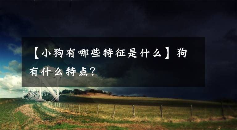 【小狗有哪些特征是什么】狗有什么特点？