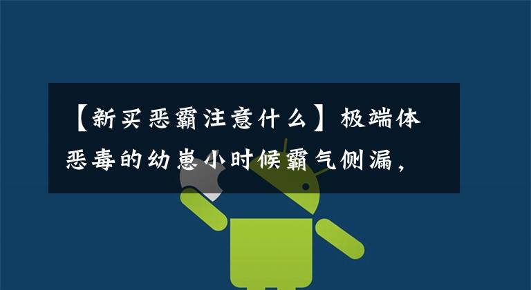 【新买恶霸注意什么】极端体恶毒的幼崽小时候霸气侧漏，一点都不可爱。