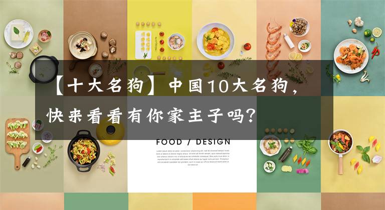 【十大名狗】中国10大名狗，快来看看有你家主子吗？