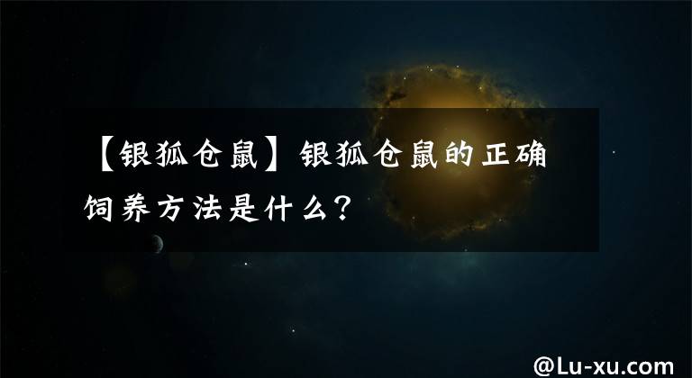 【银狐仓鼠】银狐仓鼠的正确饲养方法是什么？