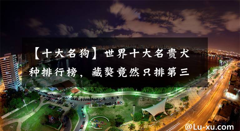 【十大名狗】世界十大名贵犬种排行榜，藏獒竟然只排第三