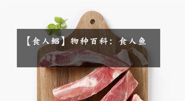 【食人鲳】物种百科:食人鱼