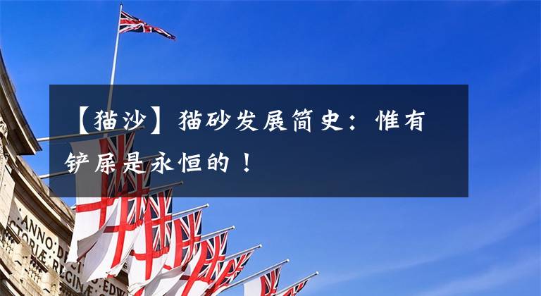 【猫沙】猫砂发展简史：惟有铲屎是永恒的！