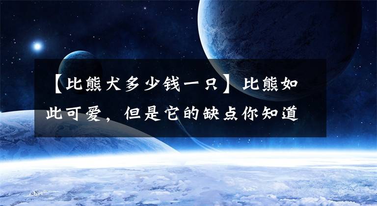 【比熊犬多少钱一只】比熊如此可爱,但是它的缺点你知道多少呢