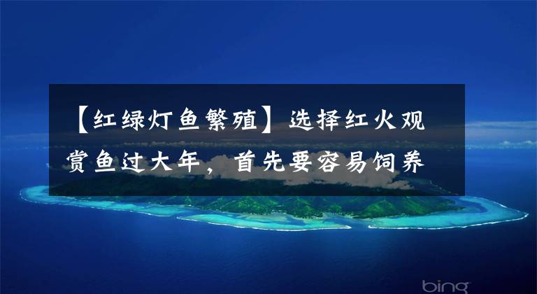 【红绿灯鱼繁殖】选择红火观赏鱼过大年，首先要容易饲养为好，给大家介绍三种