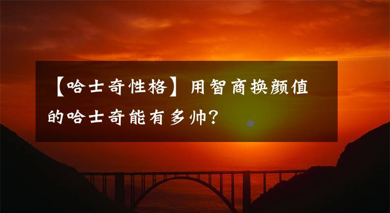 【哈士奇性格】用智商换颜值的哈士奇能有多帅？