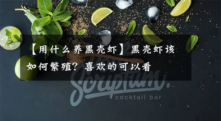 【用什么养黑壳虾】黑壳虾该如何繁殖?喜欢的可以看