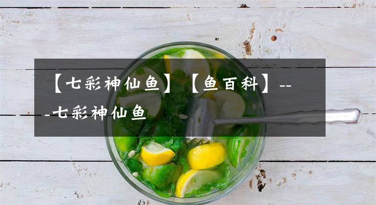 【七彩神仙鱼】【鱼百科】---七彩神仙鱼