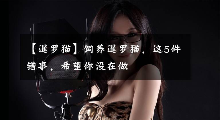 【暹罗猫】饲养暹罗猫,这5件错事,希望你没在做