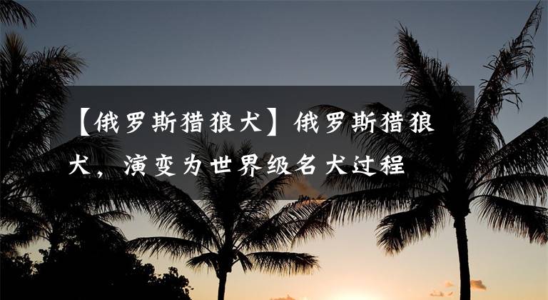 【俄罗斯猎狼犬】俄罗斯猎狼犬，演变为世界级名犬过程