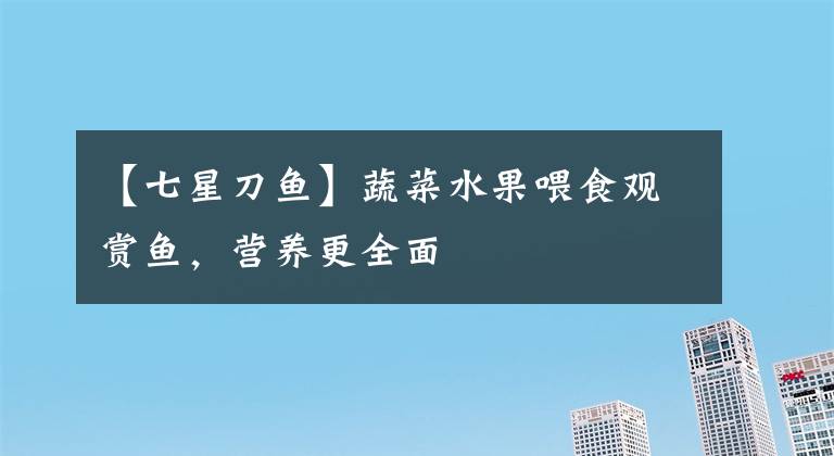 【七星刀鱼】蔬菜水果喂食观赏鱼，营养更全面