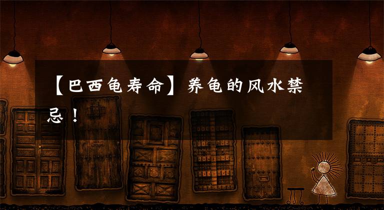 【巴西龟寿命】养龟的风水禁忌！