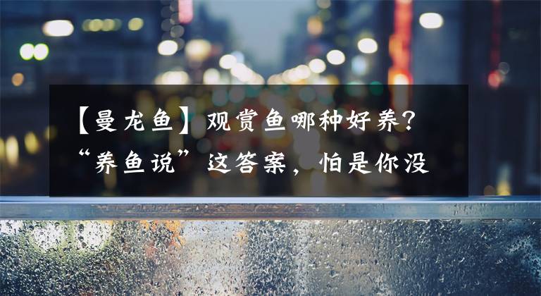 【曼龙鱼】观赏鱼哪种好养？“养鱼说”这答案，怕是你没听过吧？值得深思