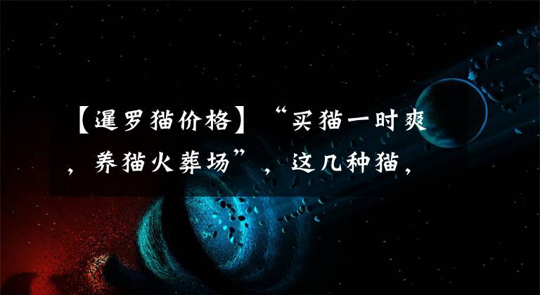 【暹罗猫价格】“买猫一时爽,养猫火葬场”,这几种猫,劝你别盲目入手