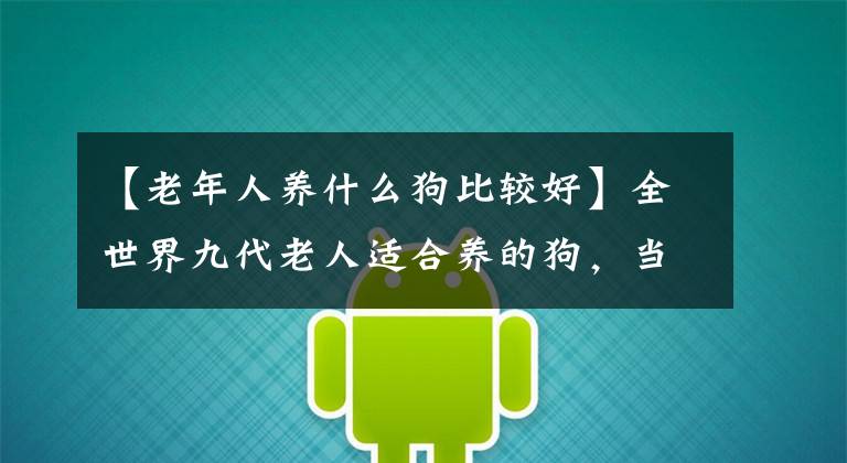 【老年人养什么狗比较好】全世界九代老人适合养的狗，当你老了的时候，你会选择哪个？