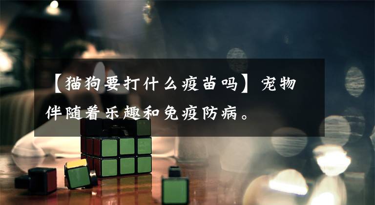 【猫狗要打什么疫苗吗】宠物伴随着乐趣和免疫防病。