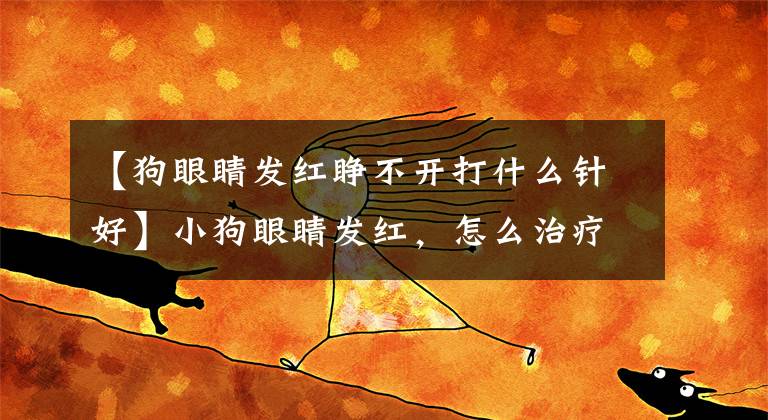 【狗眼睛发红睁不开打什么针好】小狗眼睛发红,怎么治疗