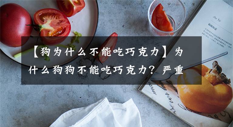 【狗为什么不能吃巧克力】为什么狗狗不能吃巧克力？严重损害身体健康