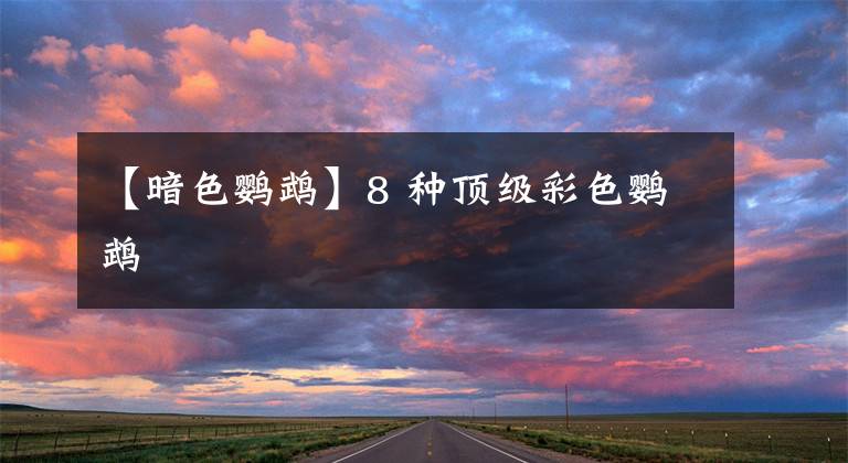 【暗色鹦鹉】8 种顶级彩色鹦鹉