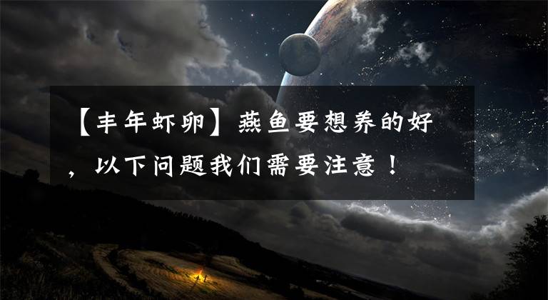 【丰年虾卵】燕鱼要想养的好,以下问题我们需要注意!