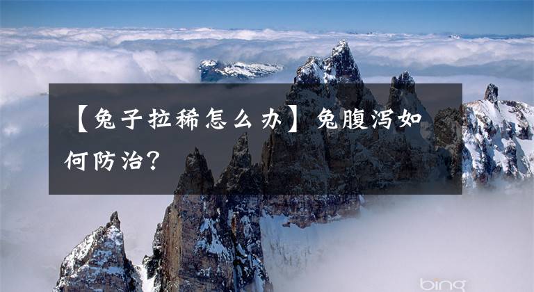 【兔子拉稀怎么办】兔腹泻如何防治?