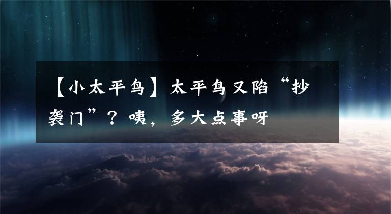 【小太平鸟】太平鸟又陷“抄袭门”?咦,多大点事呀