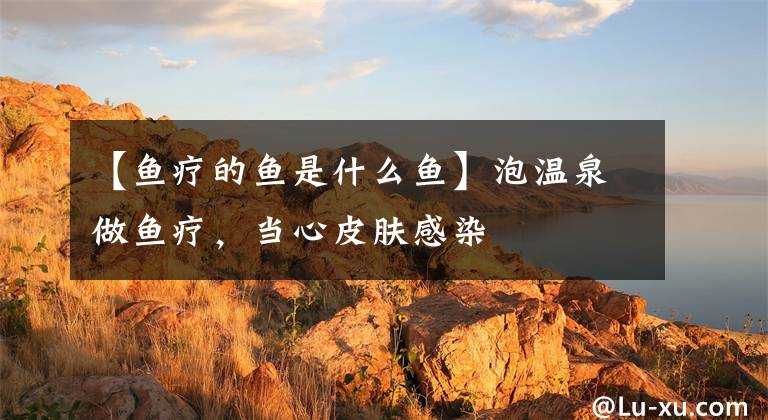 【鱼疗的鱼是什么鱼】泡温泉做鱼疗，当心皮肤感染