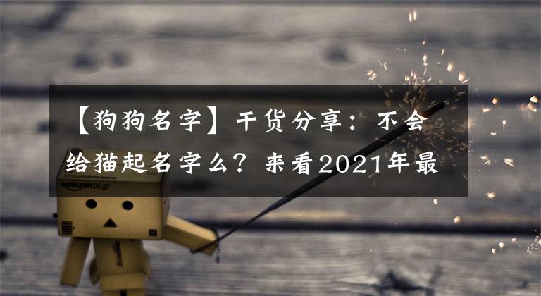 【狗狗名字】干货分享:不会给猫起名字么?来看2021年最受欢迎的猫咪名字