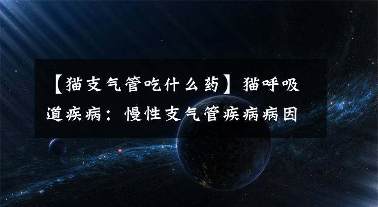 【猫支气管吃什么药】猫呼吸道疾病:慢性支气管疾病病因复杂,需要长期治疗