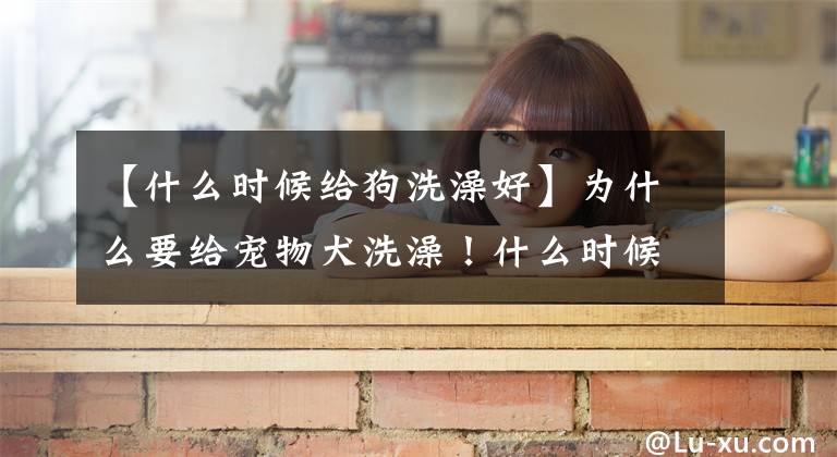 【什么时候给狗洗澡好】为什么要给宠物犬洗澡！什么时候洗澡最好！