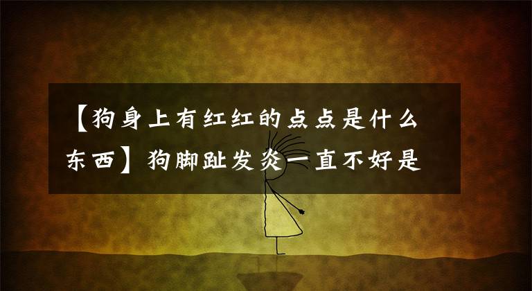 【狗身上有红红的点点是什么东西】狗脚趾发炎一直不好是为什么？应该如何预防？