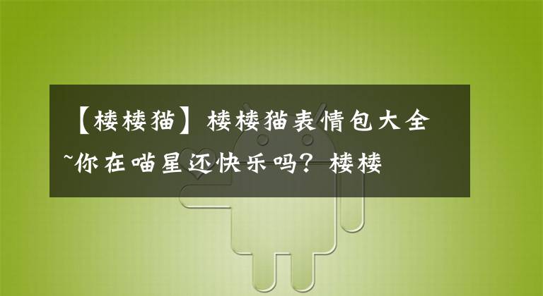 【楼楼猫】楼楼猫表情包大全~你在喵星还快乐吗？楼楼