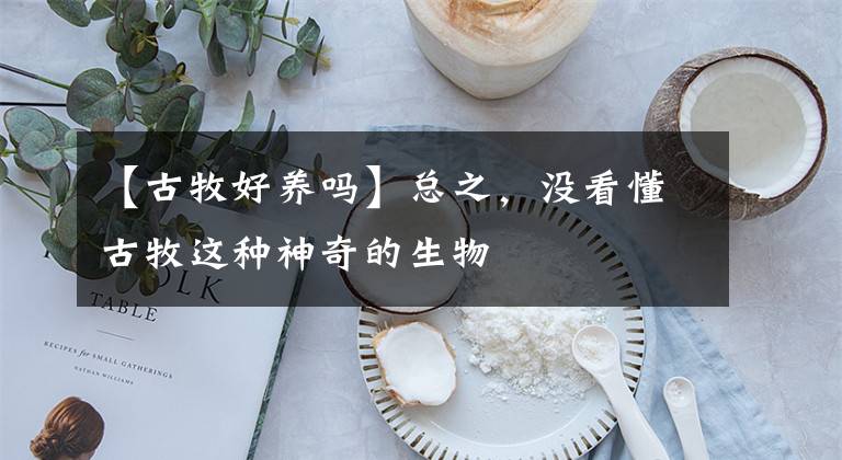 【古牧好养吗】总之，没看懂古牧这种神奇的生物