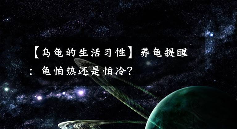 【乌龟的生活习性】养龟提醒：龟怕热还是怕冷？