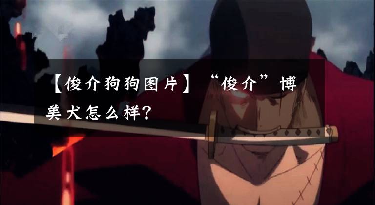 【俊介狗狗图片】“俊介”博美犬怎么样？